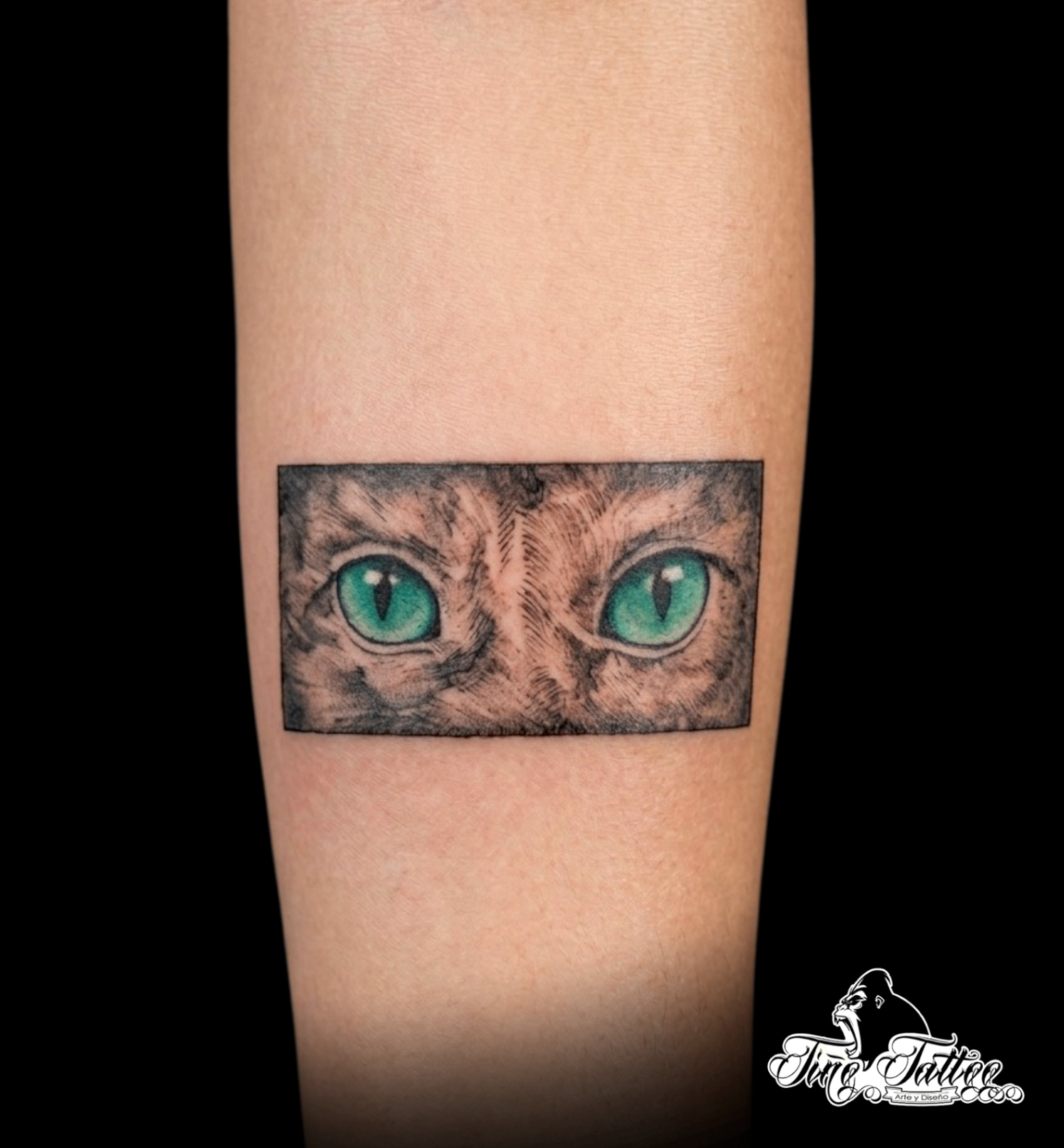 Tatuaje de ojos de gato en composición rectangular