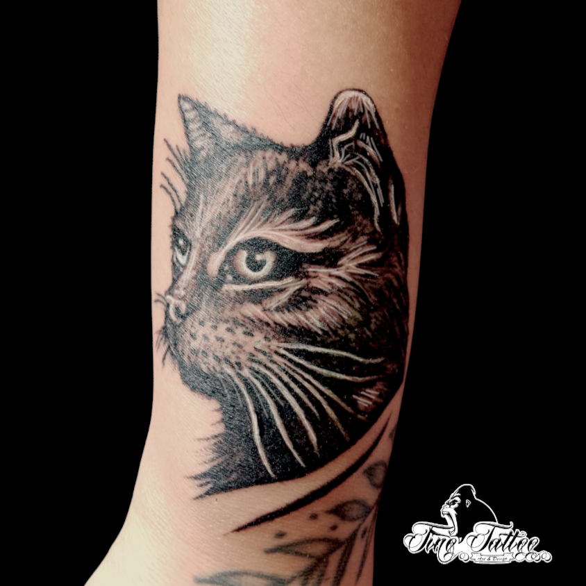 Tatuaje blackwork de rostro de gato con alto contraste